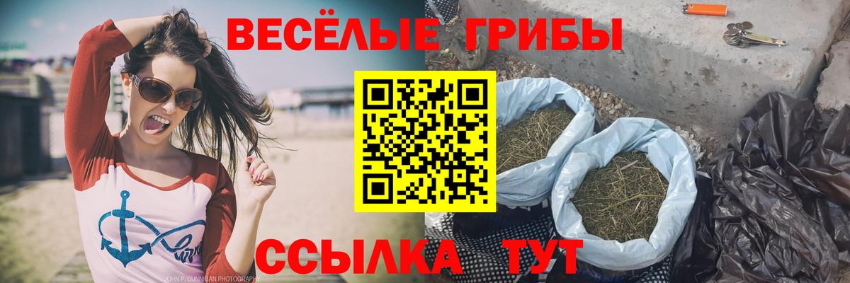 Галлюциногенные грибы ЛСД  Вход с VPN  Галлюциногенные грибы Cubensis  Видное 