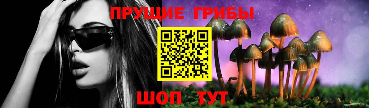 Псилоцибиновые грибы Psilocybine cubensis Видное