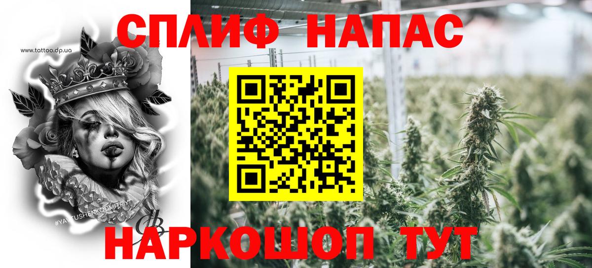 МАРИХУАНА планчик Видное